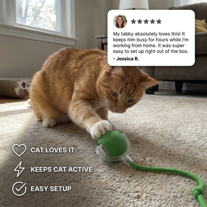 Interactive Hunting Ball for Cats – HuntJoy