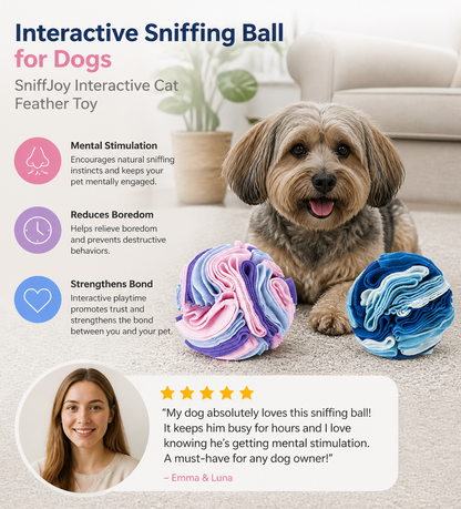 Interactive Sniffing Ball for Dogs - SniffJoy