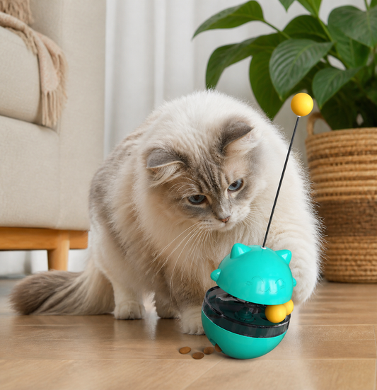 3-in-1 Cat Wobble Toy