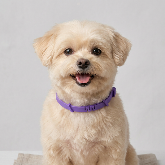 Pheromone Calming Collar for Dogs and Cats