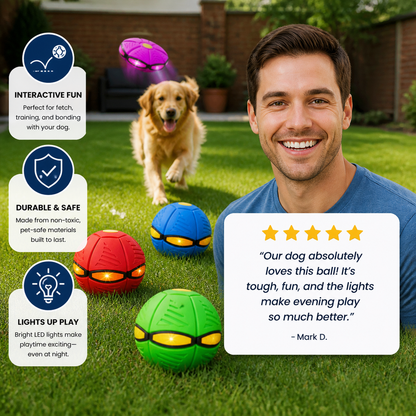 Interactive Flying Fetch Dog Ball