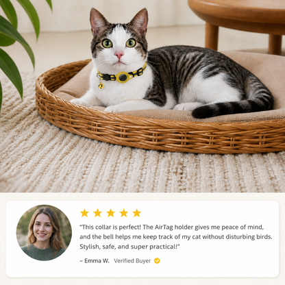 Cat Collar with Safety Closure