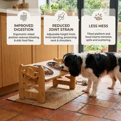 Raised Bamboo Pet Bowls