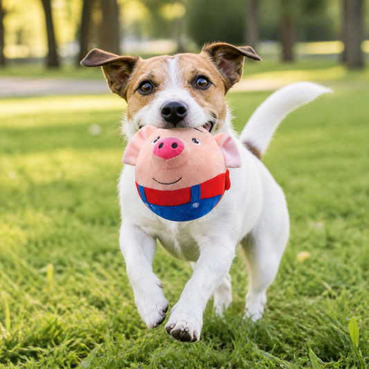 DogRover: Unlimited Fun for Your Dog