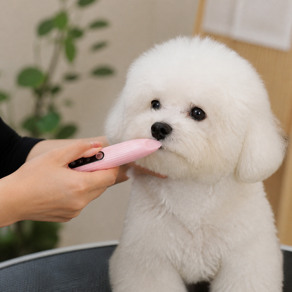 Pet Paw Trimmer