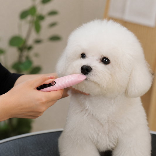 Pet Paw Trimmer