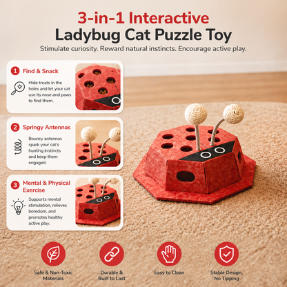 3in1 Interactive Ladybug Cat Puzzle Toy