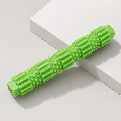 Squeaky Rubber Dog Toys