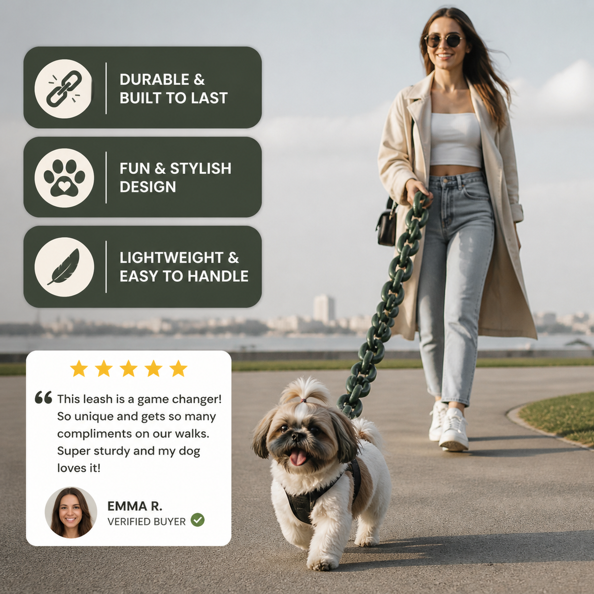 ChainWalk Leash