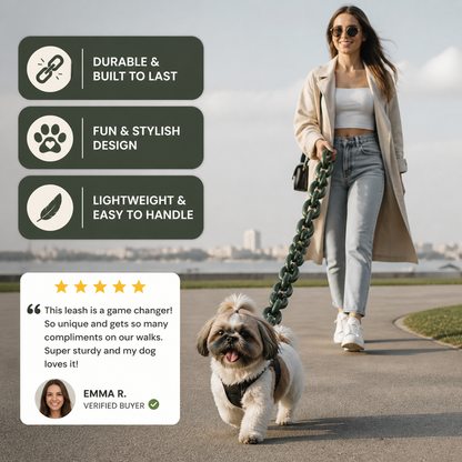 ChainWalk Leash