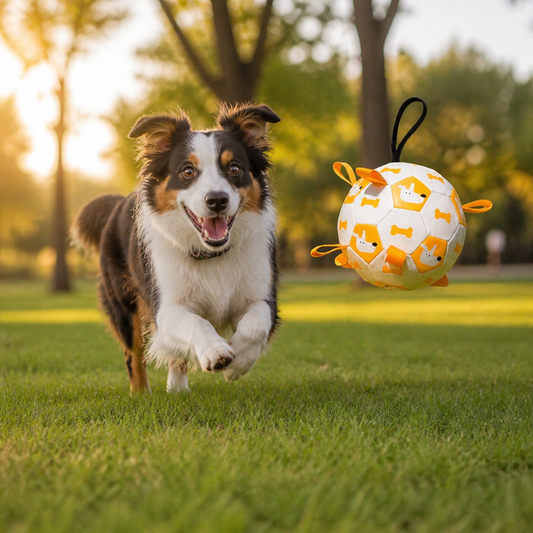 Dog Ball Toy with Integrated Pull Ropes