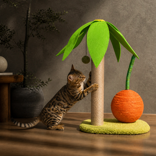 Cat Palm Sisal Scratching Post with Orange