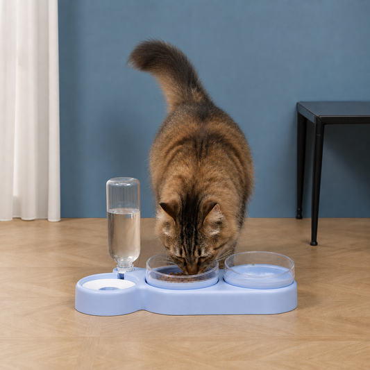 PetCare Dual Feeding Bowl with Auto Water Dispenser