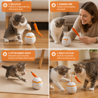 Interactive Wobble Egg Cat Toy – Automatic Feather Teaser