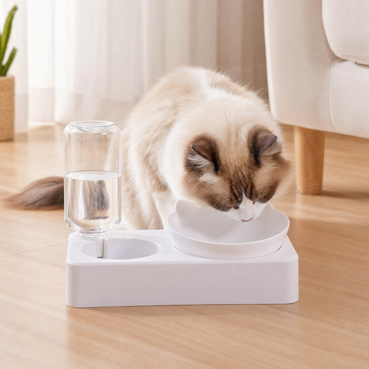 Dual-Purpose Tilted Pet Bowl