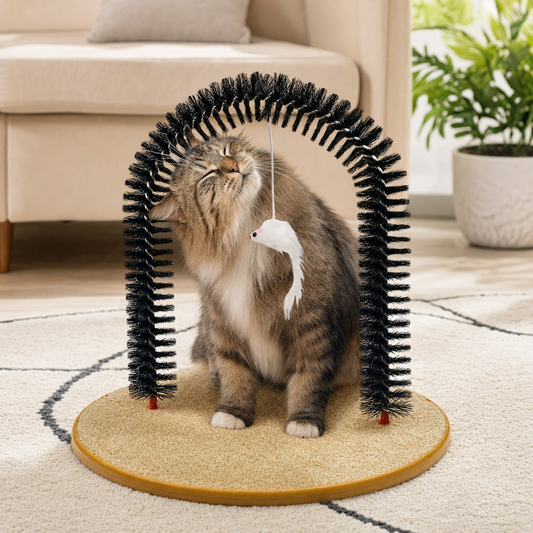 Cat Toy Arch Self-Grooming Pamper