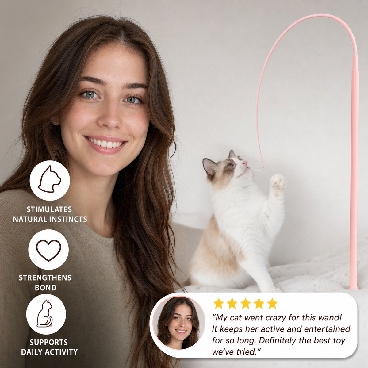 Cat Toy Wand Interactive