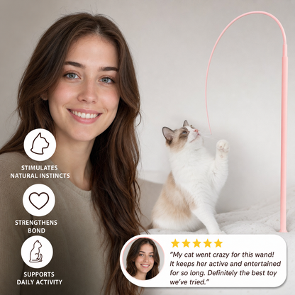 Cat Toy Wand Interactive