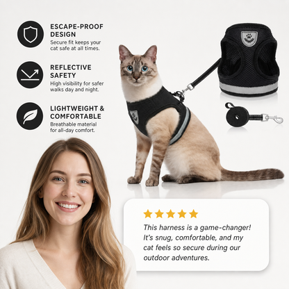 Explorer Harness with Leash
