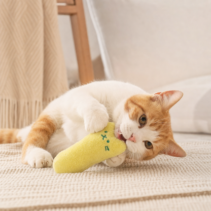 Teeth Grinding Catnip Toys