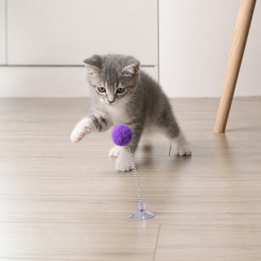 Cat Teaser Wand Toy