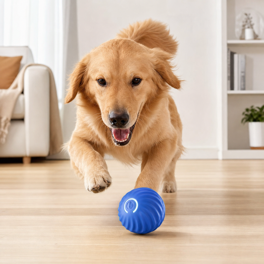 Automatic Interactive Dog Toy – RolliPlay