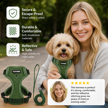 Reflective Dog Harness and Leash Set for Small Dogs – SafeStep
