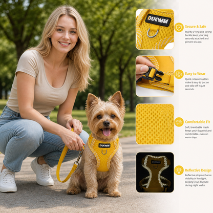 Reflective Dog Harness and Leash Set for Small Dogs – SafeStep