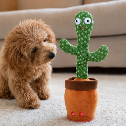Talk-to-Me Cactus