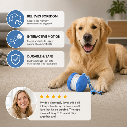 Interactive & Durable Dog Ball – Motion Toy with Tug Rope in Dog Colours