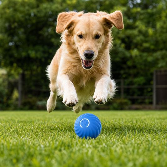 Interactive Jumping Ball for Dogs