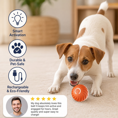 Interactive Jumping Ball for Dogs