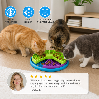 Engagement Feeding Bowl with Different Levels