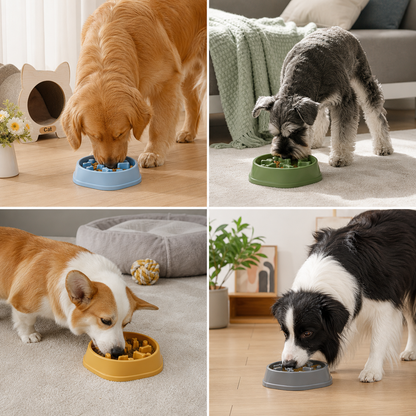 Slow Eating Feeding Station for Dogs