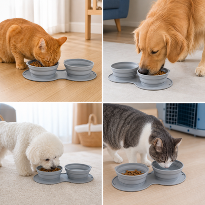 2-in-1 On-the-Go Food Bowl