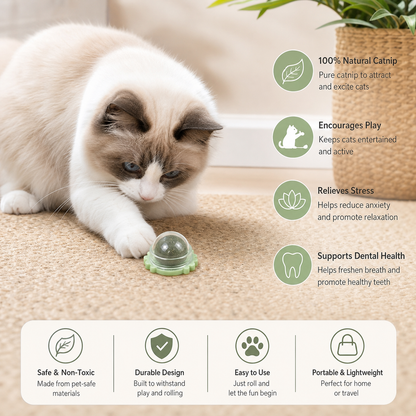 Catnip ball