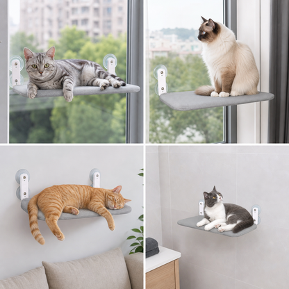 Foldable Suction Cup Hammock For Cats