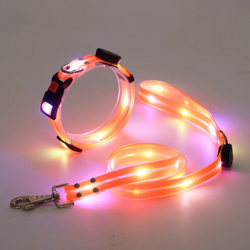 LED Dog Collar with Leash – NightBright