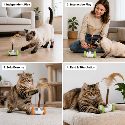 Self-Moving Feather Cat Teaser Toy