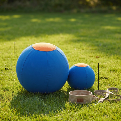 Durable training ball with cover for dogs