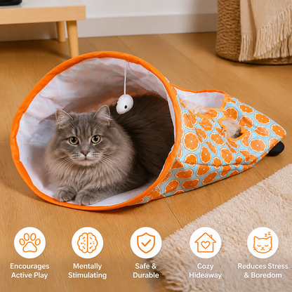 Cat Tunnel Toy