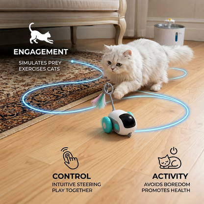 Remote Control Cat Toy