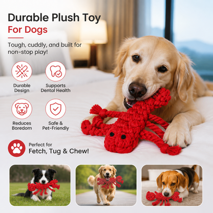 Durable Plushtoy For Dogs