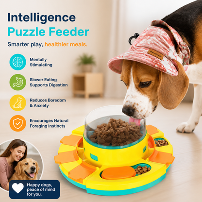 Intelligence Puzzle Feeder