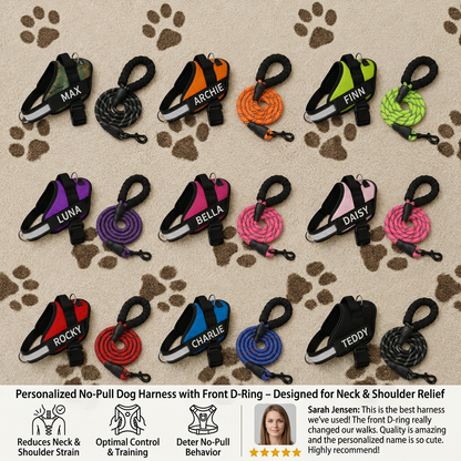 Personalized No-Pull Dog Harness with Front D-Ring – Designed for Neck & Shoulder Relief