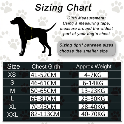 Personalized No-Pull Dog Harness with Front D-Ring – Designed for Neck & Shoulder Relief