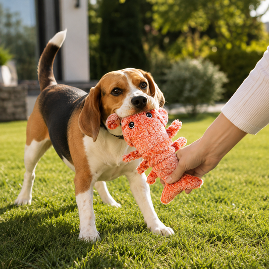 Wiggly Lobster - Interactive Dog Toy