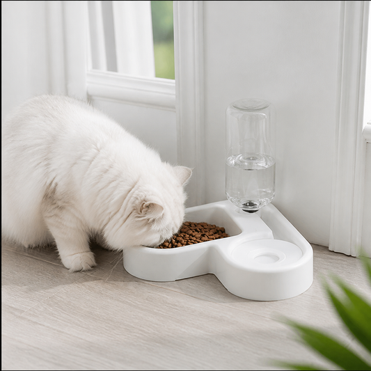 Heart-Shaped Feeding Bowl Station