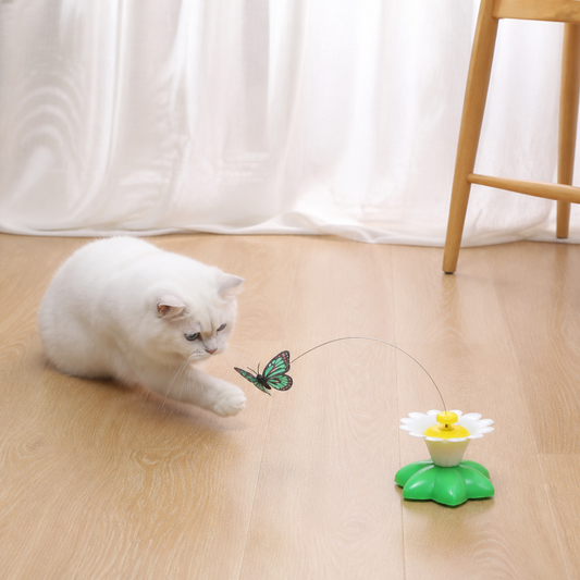 Butterfly Toy For Cats