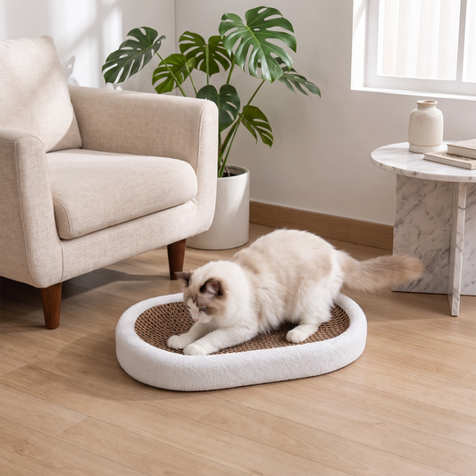 Luxury Scratch - Cat Bed